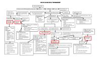 Web of Caution Hiperbilirubin