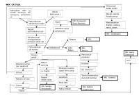 Woc CA Ginjal Fix [PDF]