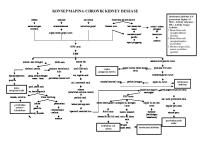 Woc CKD [PDF]