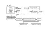 WOC Kejang Demam [PDF]