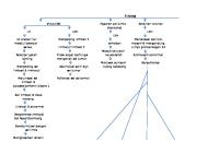 Woc Limfoma [PDF]