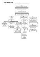 Woc Meningitis TB