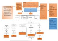 Woc Pathway CKD