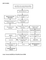 Woc Pneumonia [PDF]