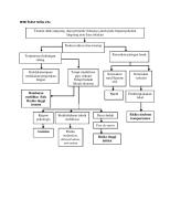 WOC Radius Ulna [PDF]